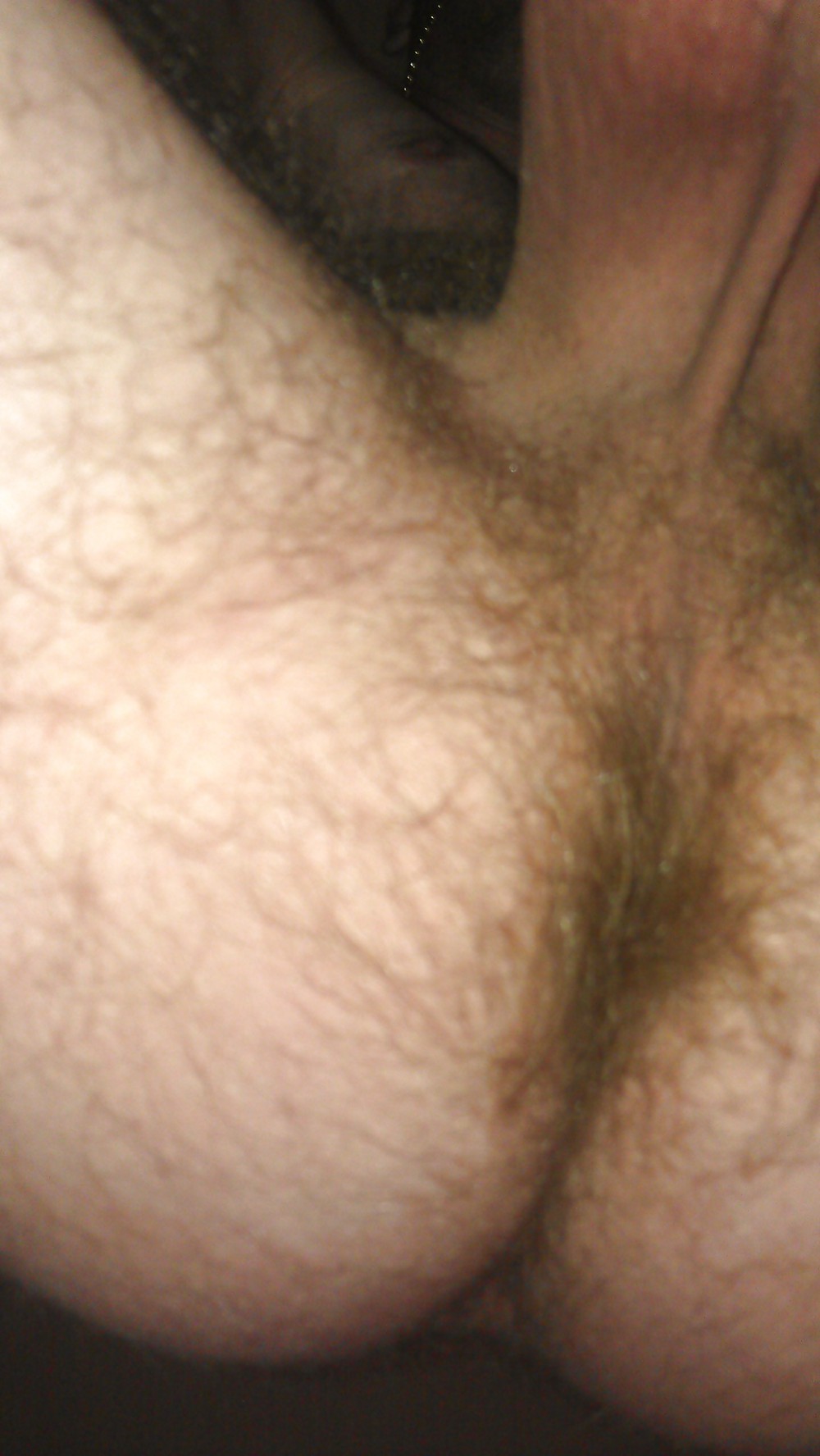 Hairy ass and big shaved balls #8593105
