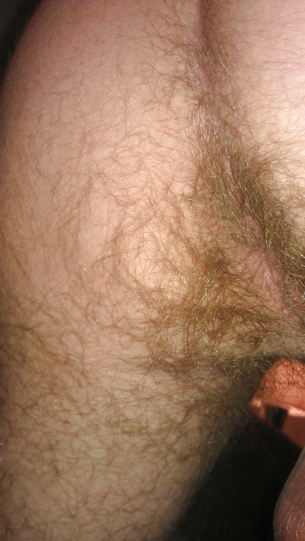 Hairy ass and big shaved balls #8593118