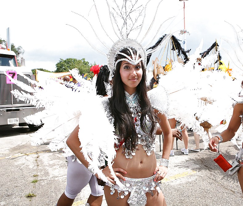 Caribana 2011 Toronto #6158337