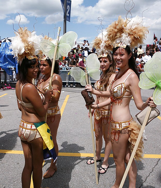 Caribana 2011 Toronto #6158360