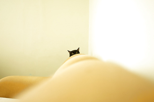 Some naughty ones... #4236928