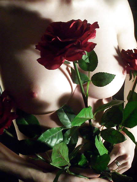 Erotische Kunst Der Rosen - Sitzung 3 #4376550