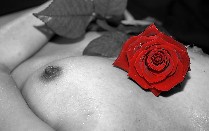 Erotische Kunst Der Rosen - Sitzung 3 #4376687