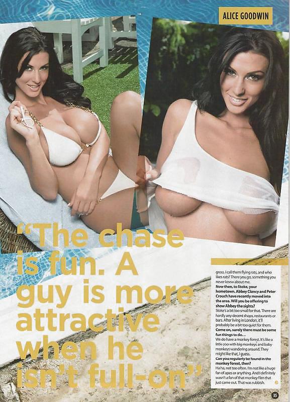 Alice Goodwin Am Pool Zoo-Set #7394176