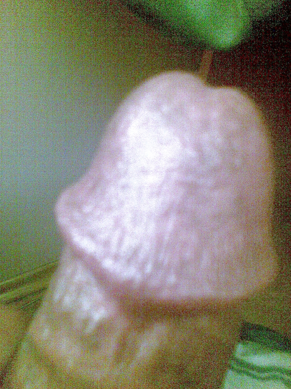 031
 #399668