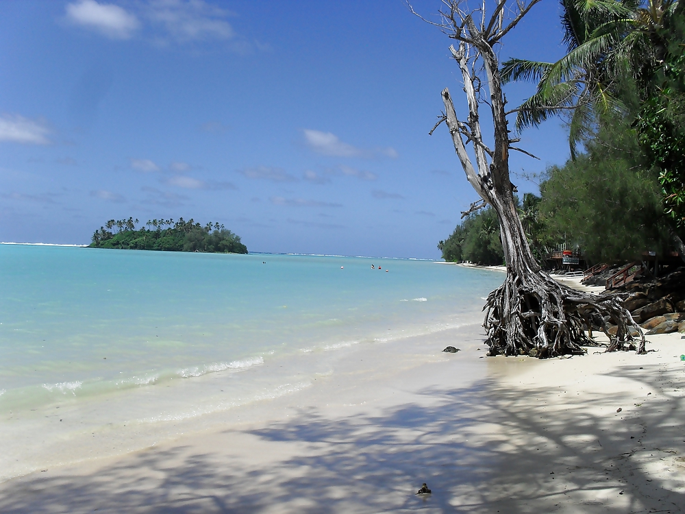 Rarotonga  #8764162