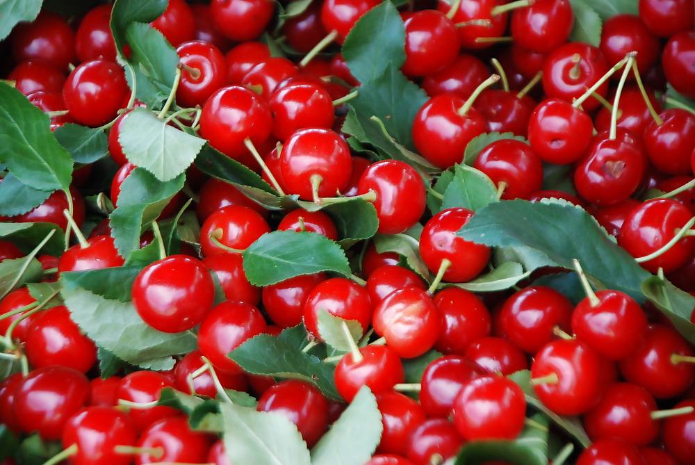 Fruits  #3922063