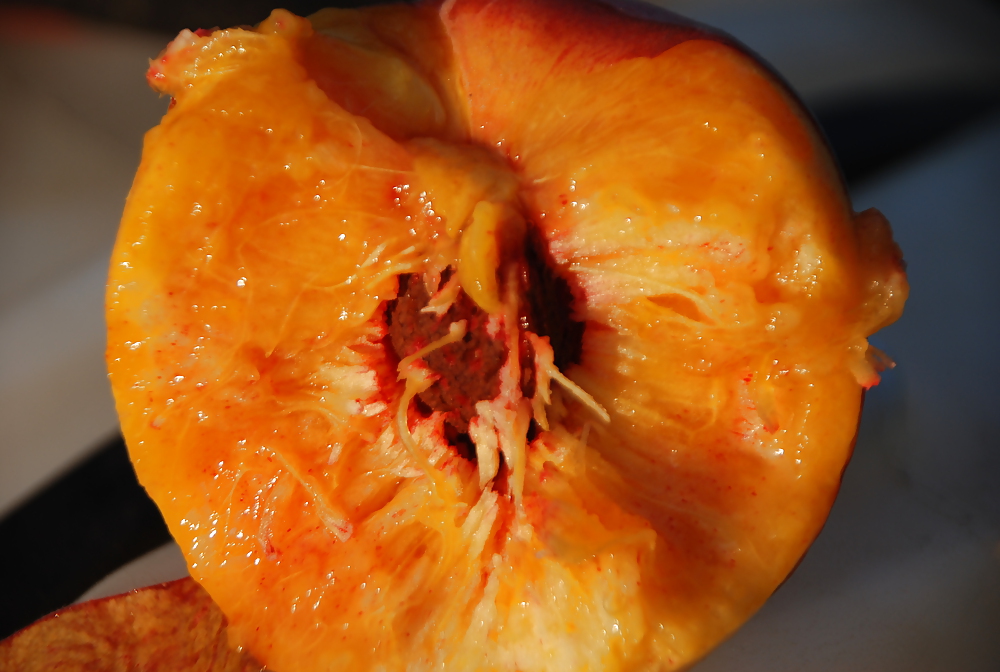 Fruits  #3922105