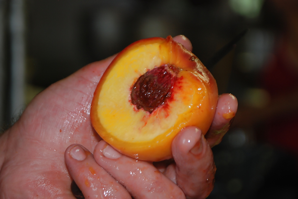 Fruits  #3922116