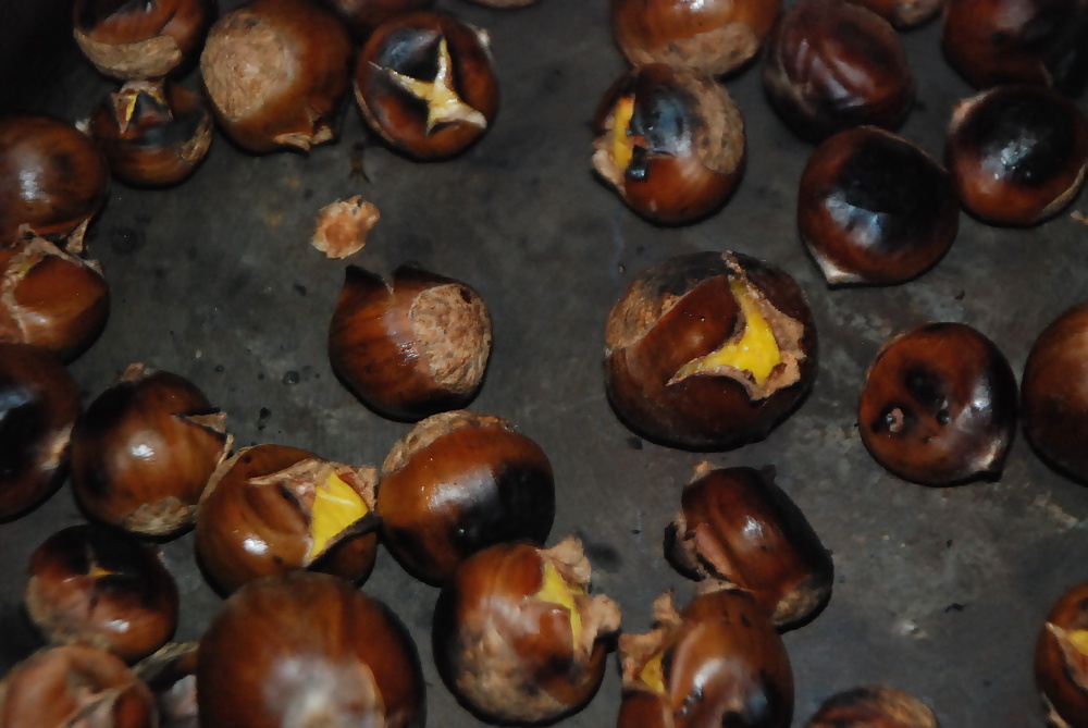 Fruits  #3922152