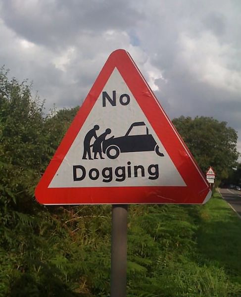AMATEURS ONLY    DOGGING AND PUBLIC SEX #18454244
