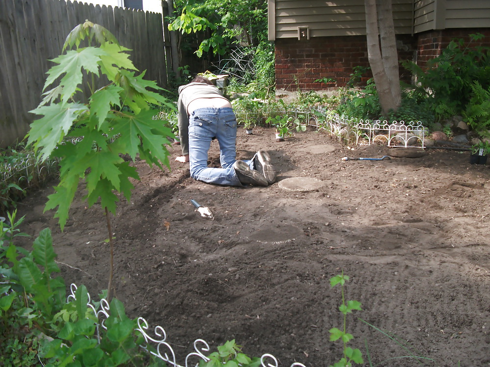 Garden2 a birth #9406149