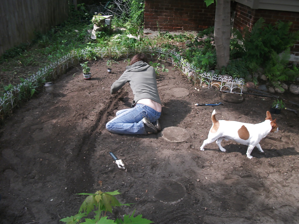 Garden2 a birth #9406175