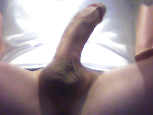 My cute dick #22432292