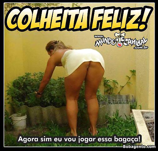 Brazilian Women 2 #14255216