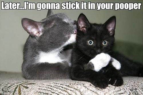 Amusing and stuff ....
 #18368737