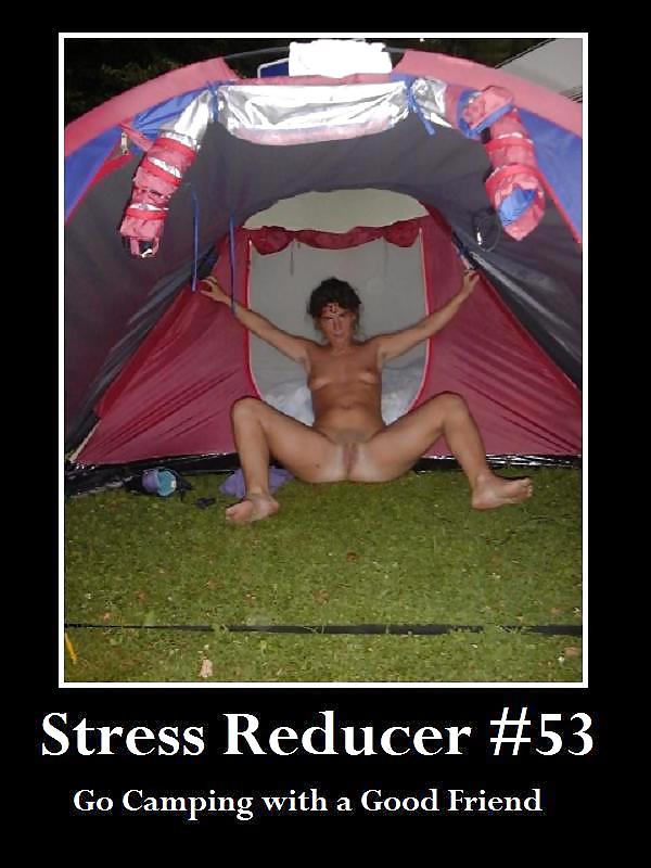 Stress Reducers 41 to 80 #12742165