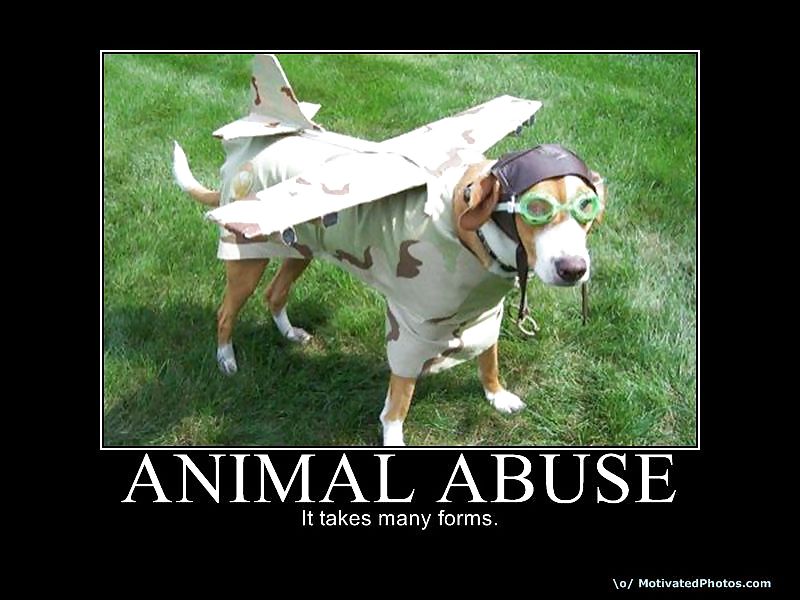 Various stuff #9297069