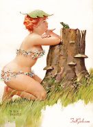 BBW Pin-Ups