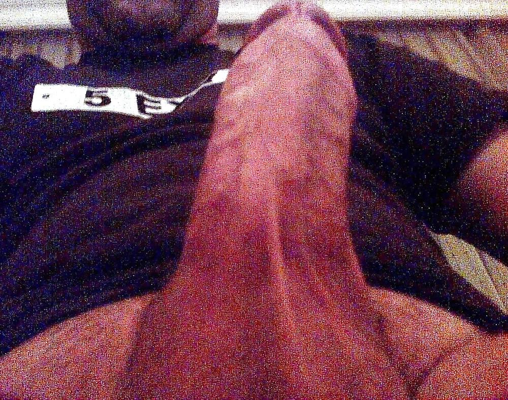 Turkish  Cock 2 #7948294