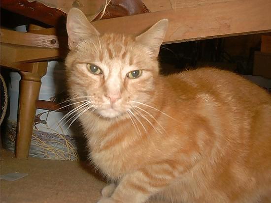 Tegs Pussy