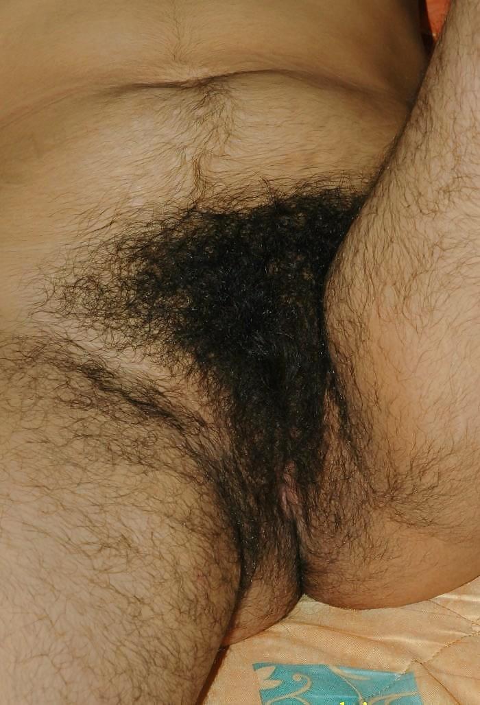 Mexican Hirsute Queen - 8- 8of9 #7138854