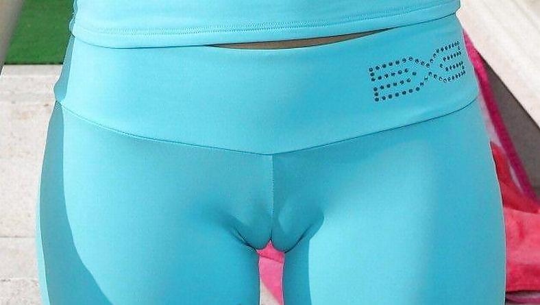 Camel toes #11326763