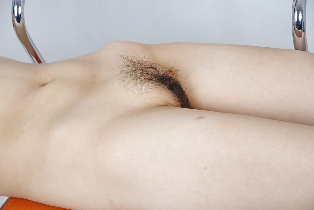 Hairy 1 #4061475