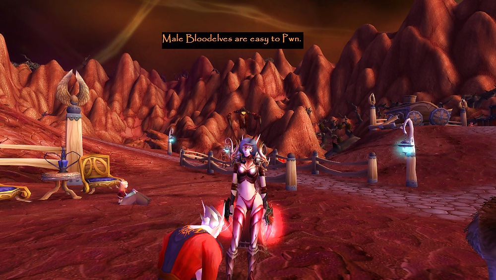 My World of Warcraft Screenshots.