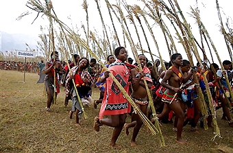 Swaziland Reed Ceremony #12419673