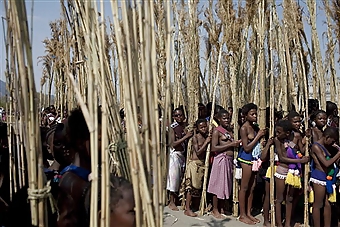 Swaziland Reed Ceremony #12419695