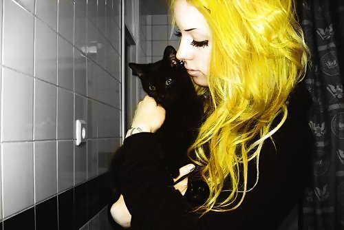 My Black cats and me