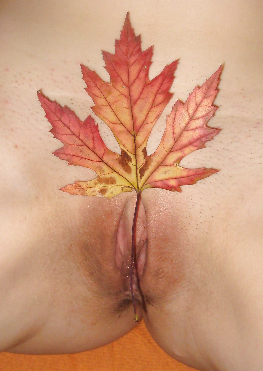 Im Herbst #5696835