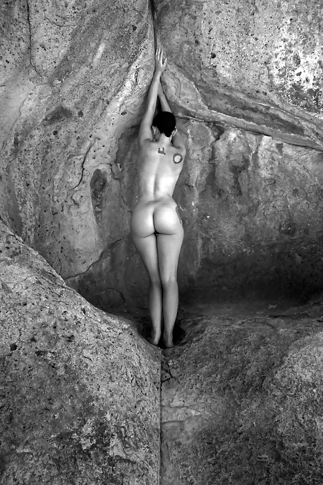 Perfect Asses 3 #4545880