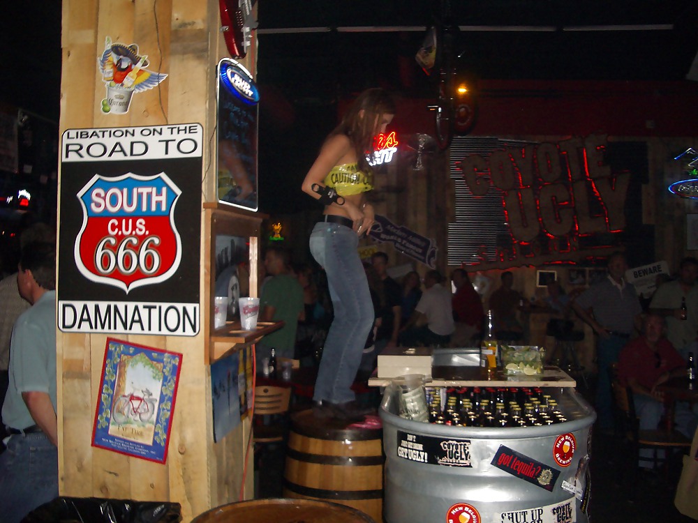 Ragazze che ballano sul bar, tra cui coyote brutto
 #6146718