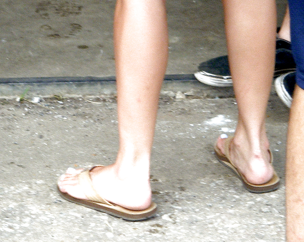 Summer in the city #4329141