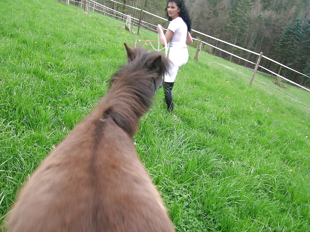 Hoppe hoppe reiter
 #7868547