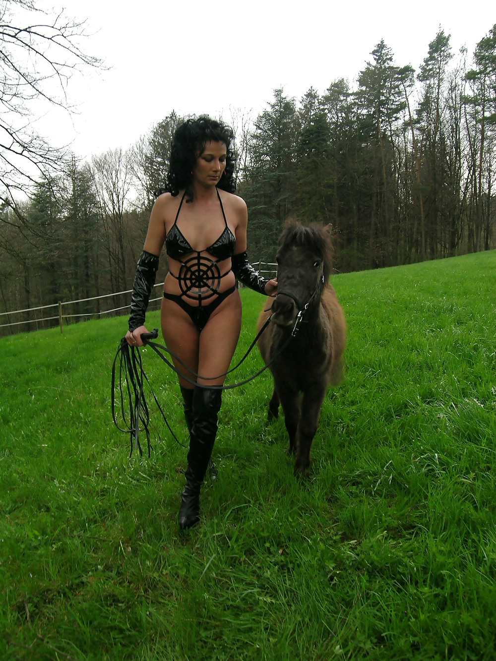 Hoppe hoppe reiter
 #7868608