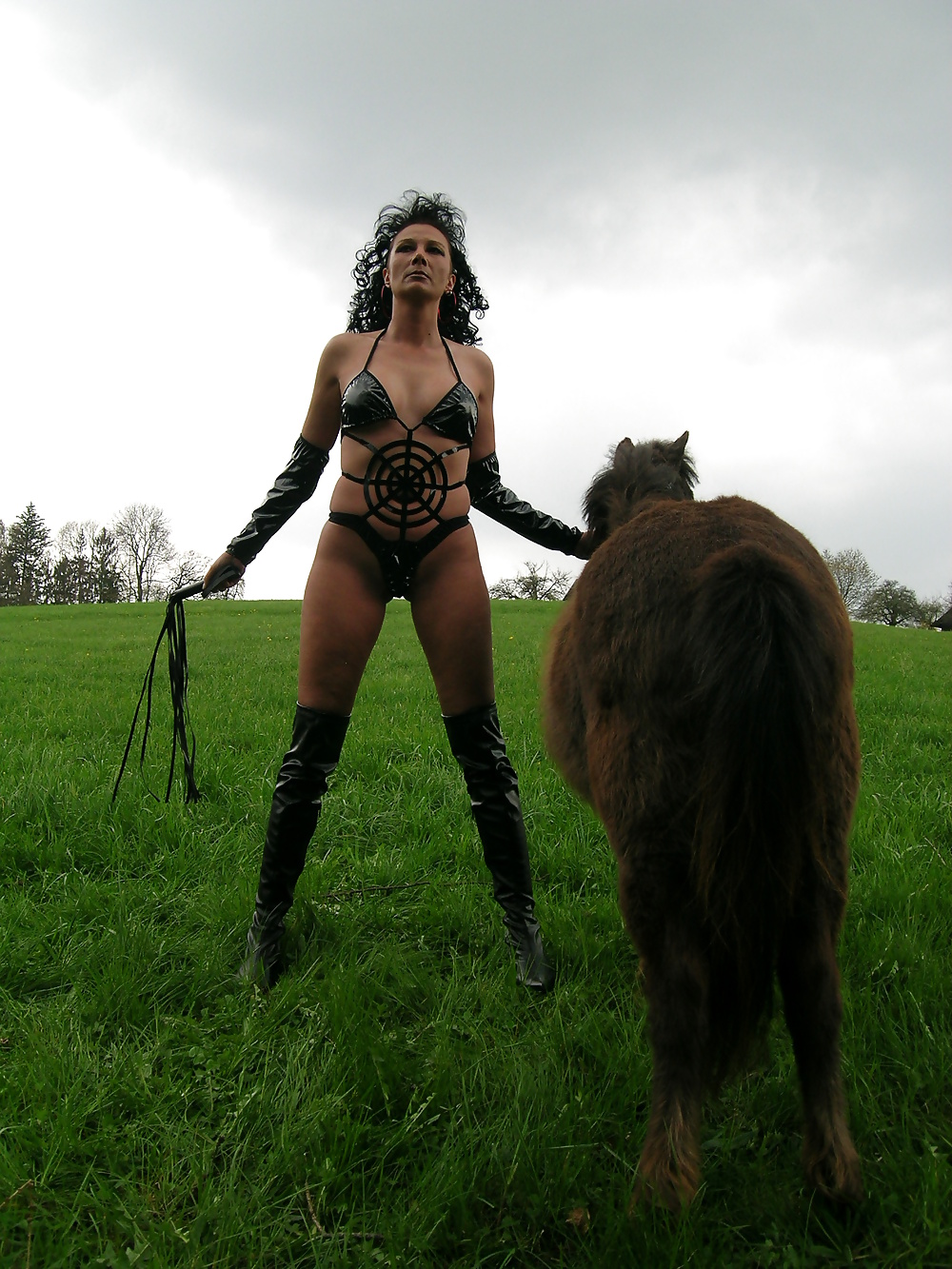 Hoppe hoppe reiter
 #7868662