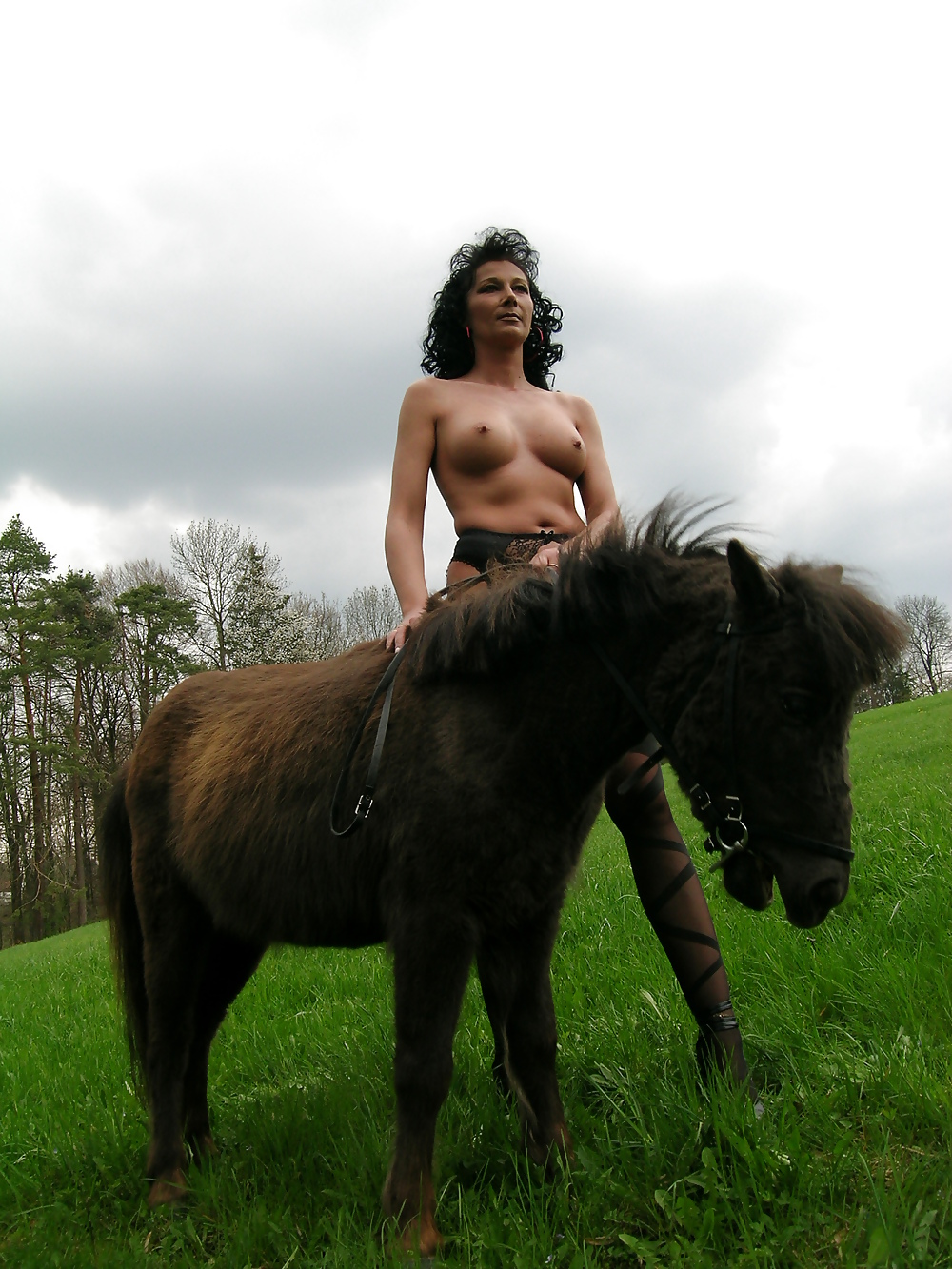 Hoppe hoppe reiter
 #7868683