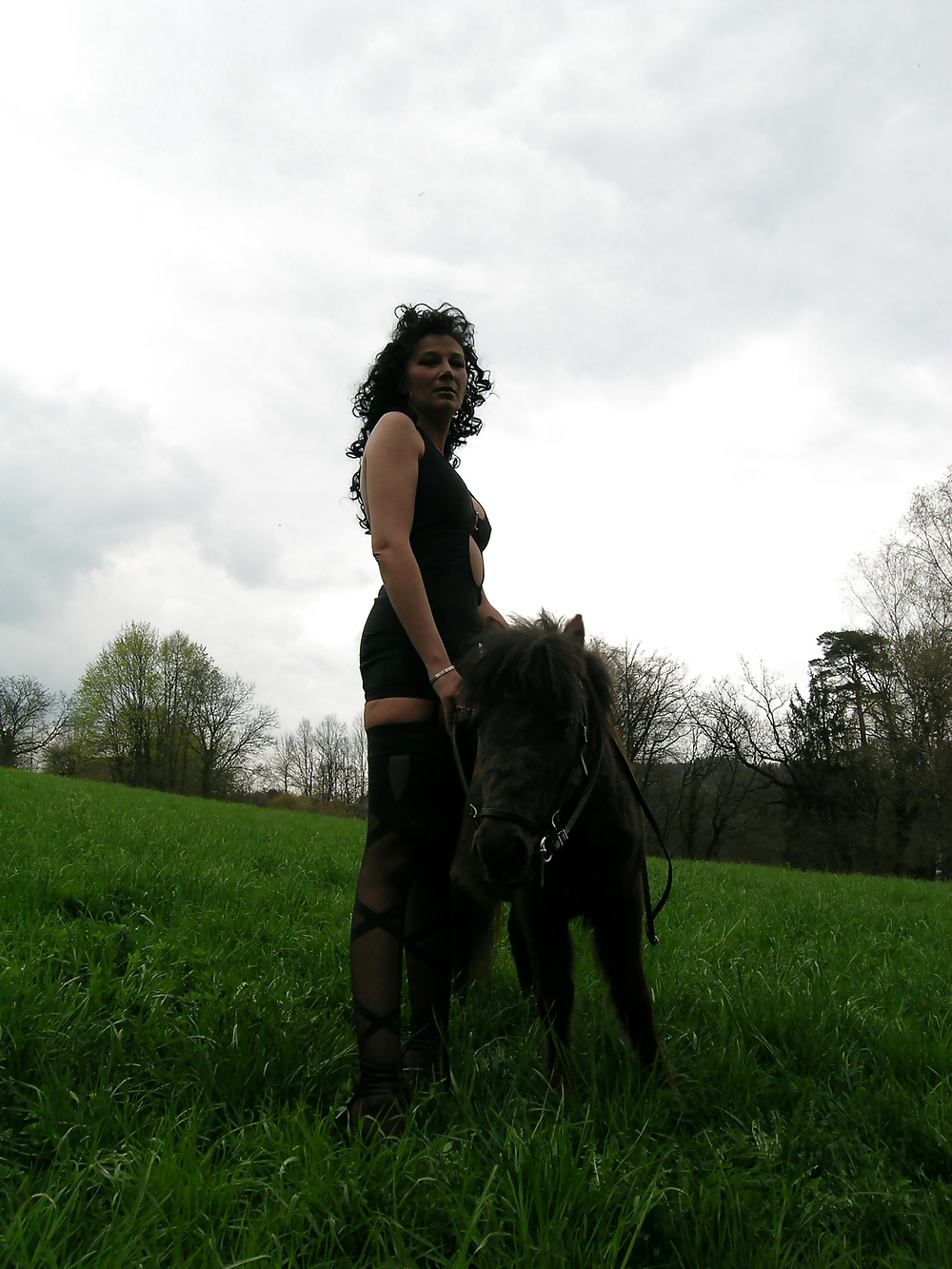 Hoppe hoppe reiter
 #7868739