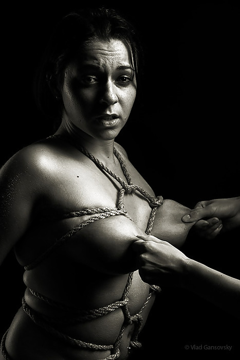 黒と白 341!
 #14370306