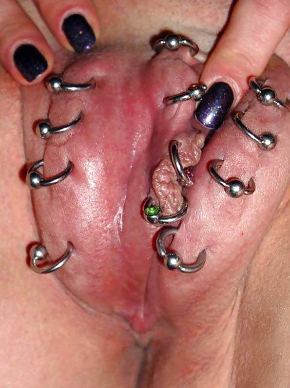Pierced pussy #14328234