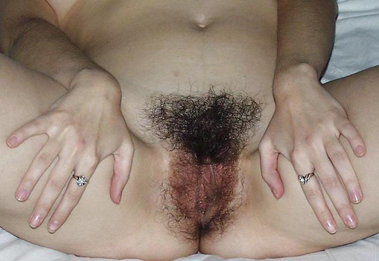 Hairy Amateur Pussy Late Summer Offensive 1 #1114947