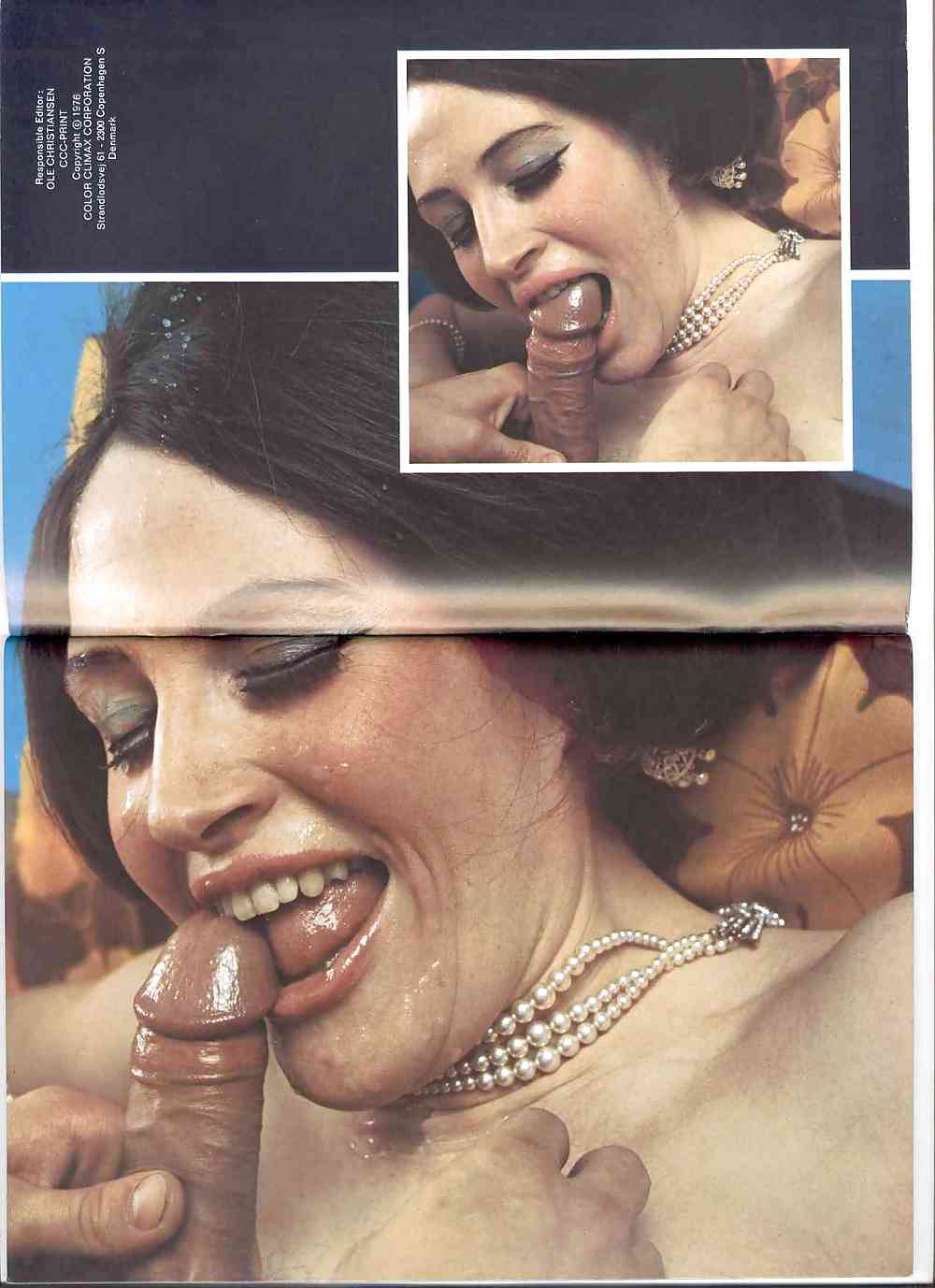 ヴィンテージ雑誌 sexsensation 17 - 1976
 #2114515