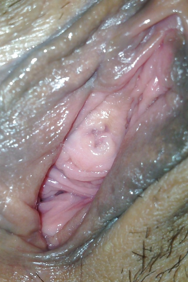 Pink Paradise #8414085