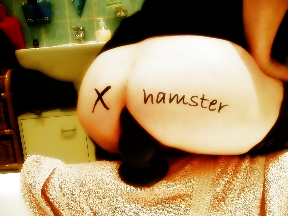 X hamster a ozel #3057189