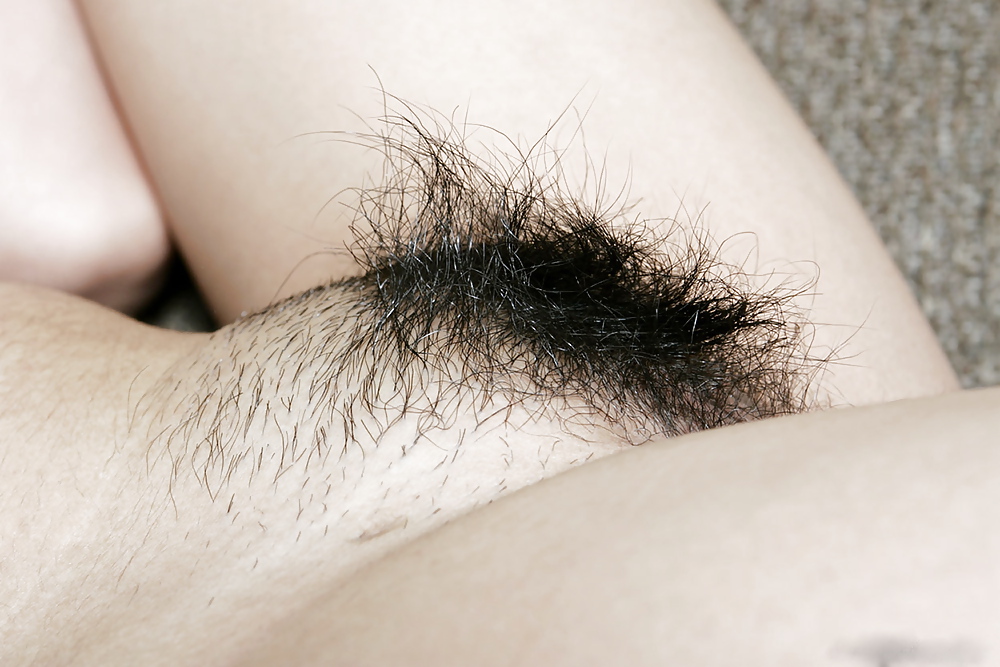 KEY - Hairy Women Pussy 10 #4404112