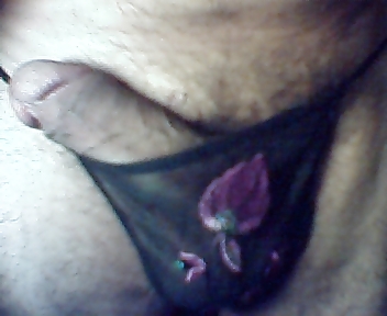 String Mayro Mich Rodo #268812