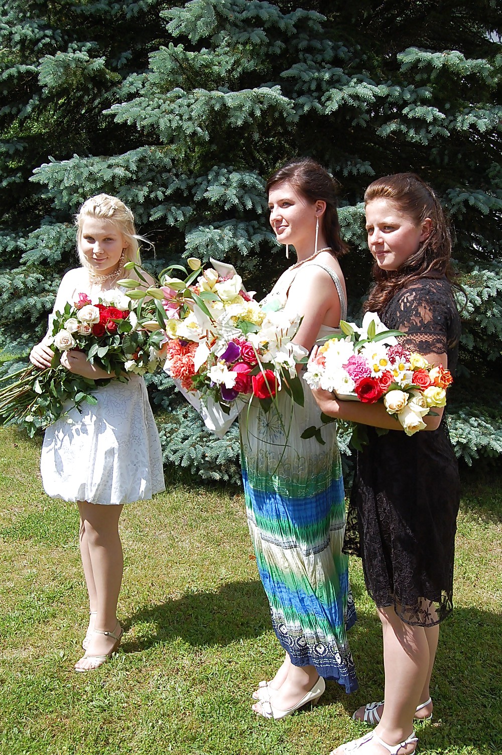 Cándido 
 #15423463